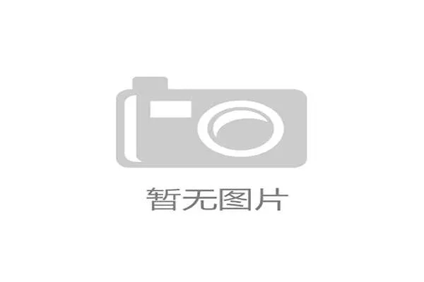 2026世界杯J组四队落位